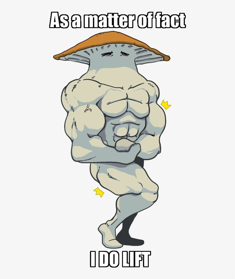 I Recommend Using A Weapon That Isn't Awful - Place Des Héros, transparent png