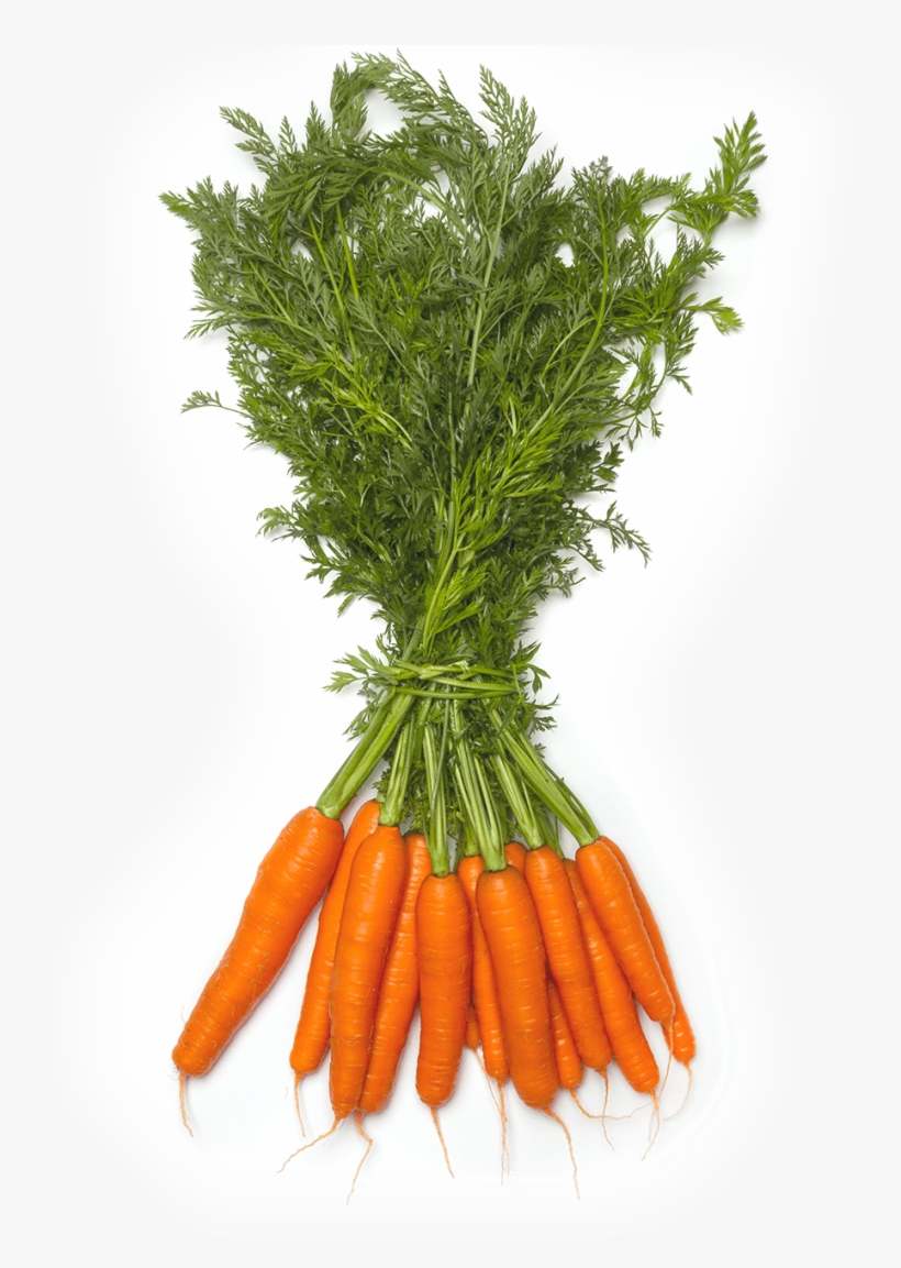 Productos Que Se Venden Por Manojo Png, transparent png