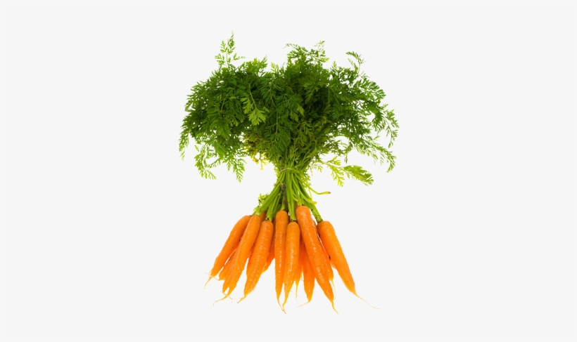 Zanahoria Orgánica - Vegetables Carrot Seeds Radish Seeds Vegetable Seeds,, transparent png