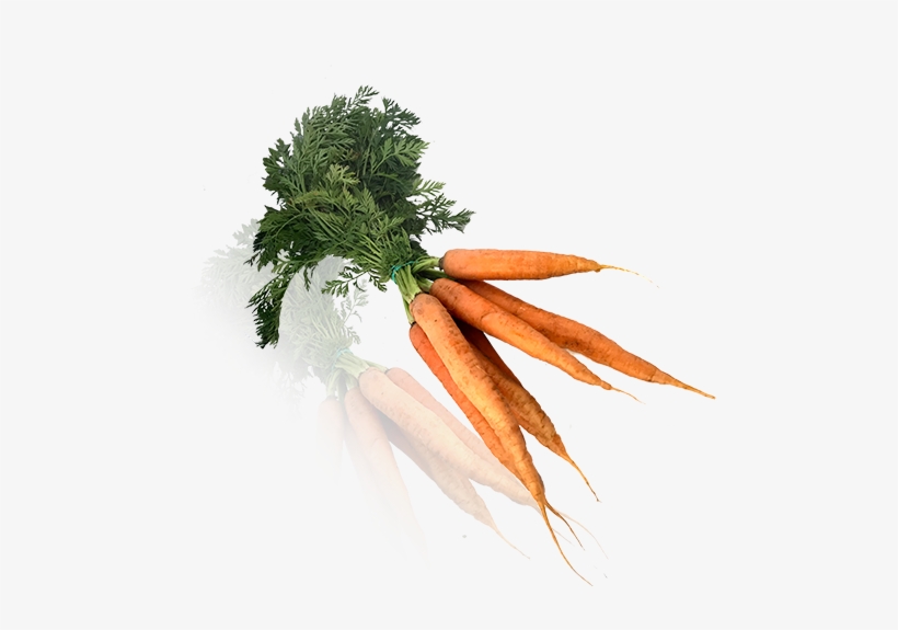 Zanahoria Manojo Bio - Baby Carrot, transparent png