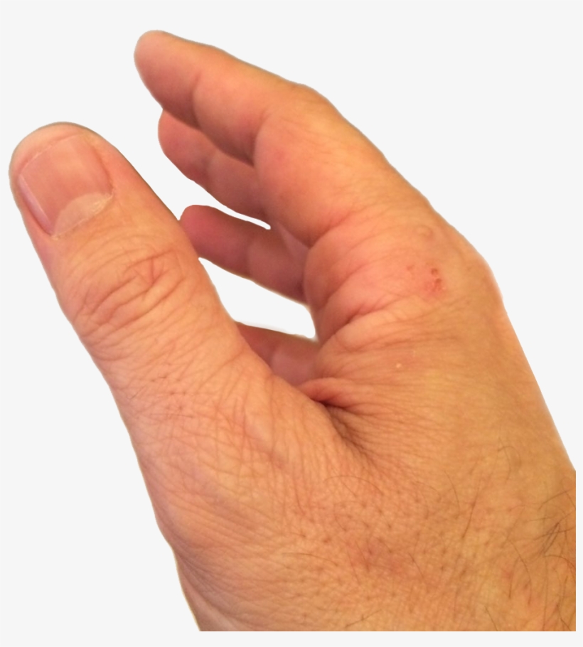 Hey, Followers, Here's A Png Of Scott Walker's Hand - Sign Language, transparent png