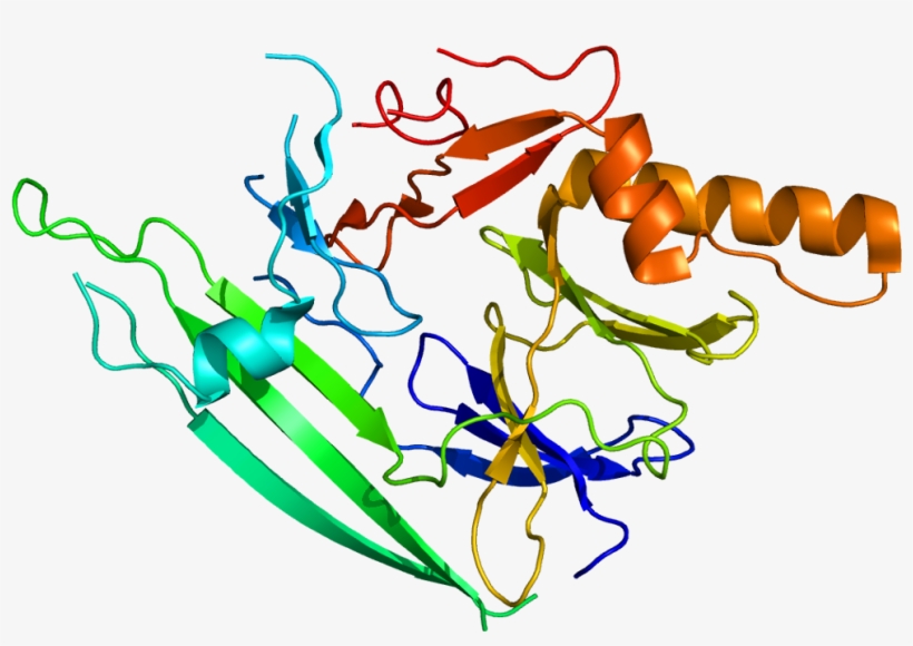 Protein Ern1 Pdb 2hz6 - Turtwig, transparent png
