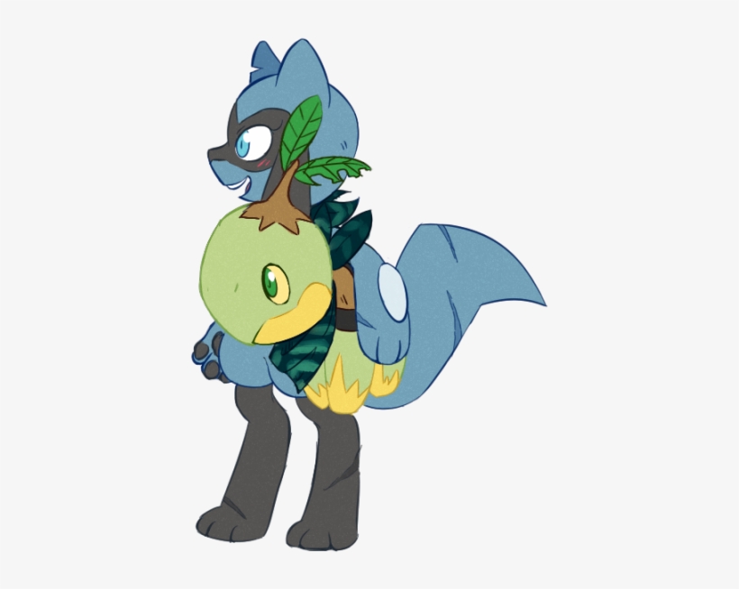 Riolu And Turtwig - Pokémon Mystery Dungeon, transparent png