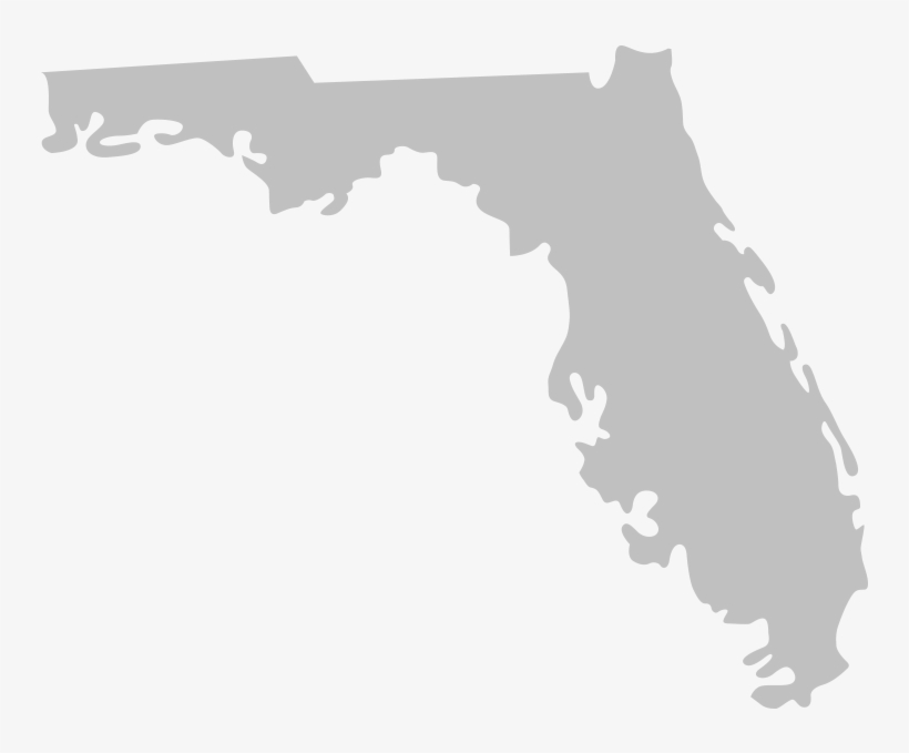 In Re Checking Account Overdraft Litig - Tampa Bay Buccaneers Florida Logo, transparent png