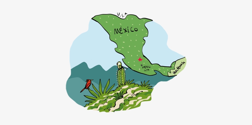 Mexico's Cloud And Temperate Forest Reserve Situated - Forest Of Mexico Map, transparent png