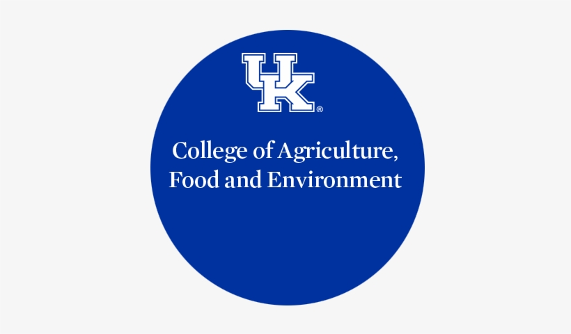 Social Media - Calloway County Extension Office Ky, transparent png