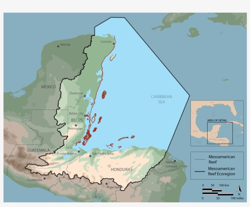 Mexico, Belize, Guatemala And Honduras, Committed To - Mesoamerican Reef Location, transparent png