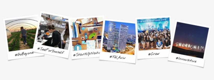 New York Community - Leading Self-organising Teams [book], transparent png