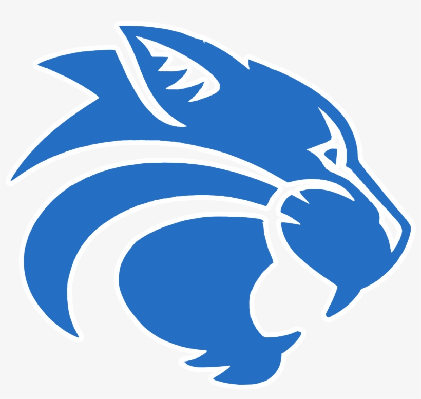Wildcat Clipart Locust Grove - Richmond Hill High School Wildcats, transparent png
