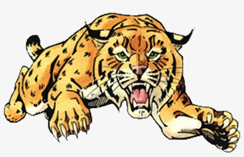 Home Of The Goal Crease Club - Chisago Lakes High School Wildcats, transparent png