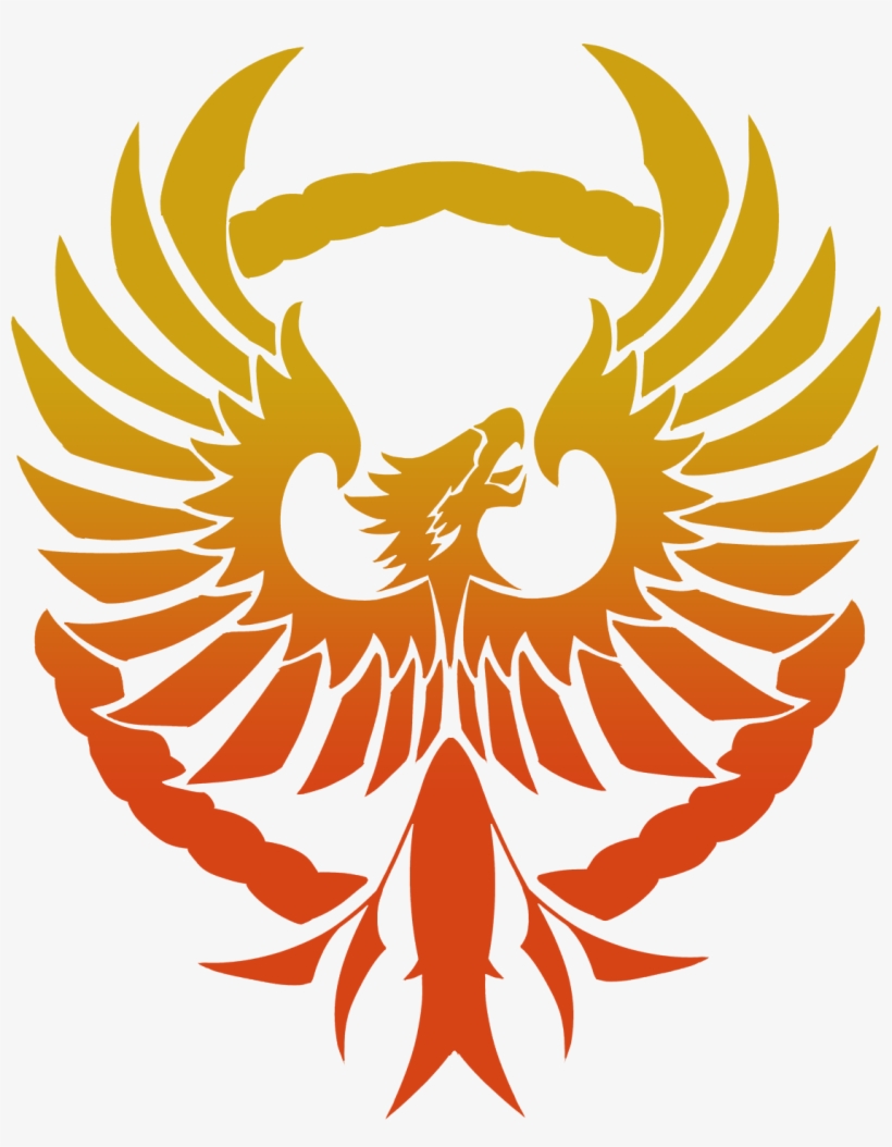 Care Packages Given - Illustration, transparent png