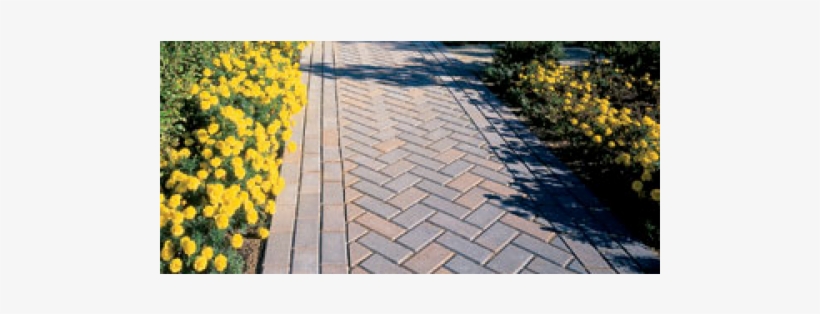 Brick, transparent png