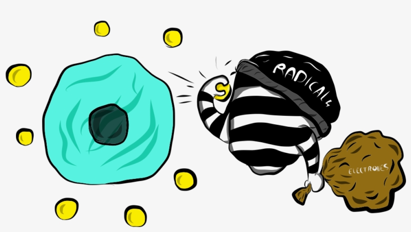 Wunder Compara El Trabajo De Hidrógeno Molecular Con - Illustration, transparent png