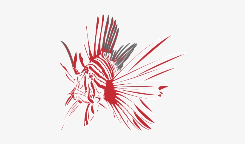 Lionfishsketch - Illustration, transparent png