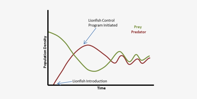 Lionfish Population Dynamics - Diagram, transparent png