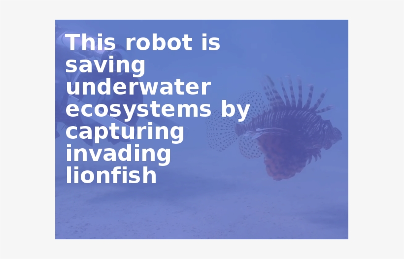 This Robot Is Saving Underwater Ecosystems By Capturing - Life Long Learner, transparent png