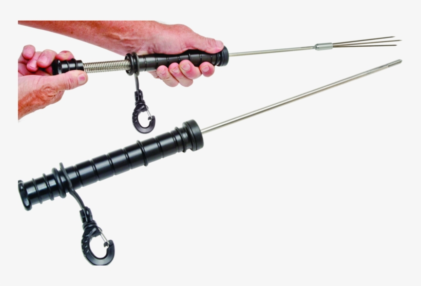 Elf - Elf Lionfish, transparent png