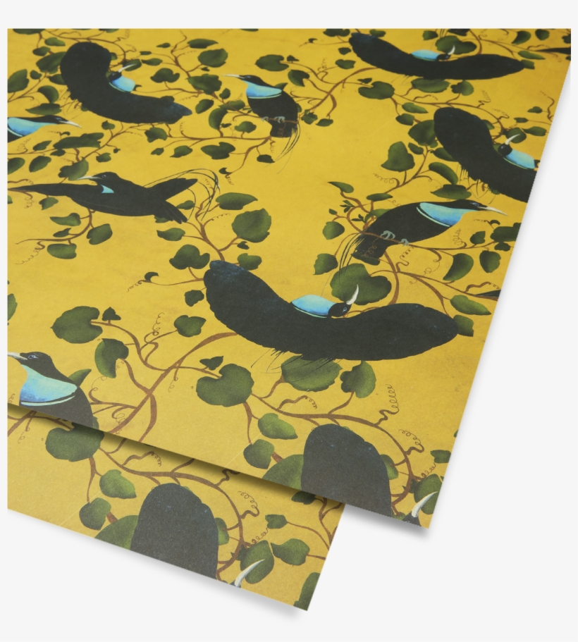 Motif, transparent png