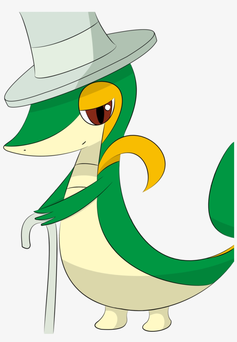 Snivy Cute - Google Search - Cute Snivy, transparent png