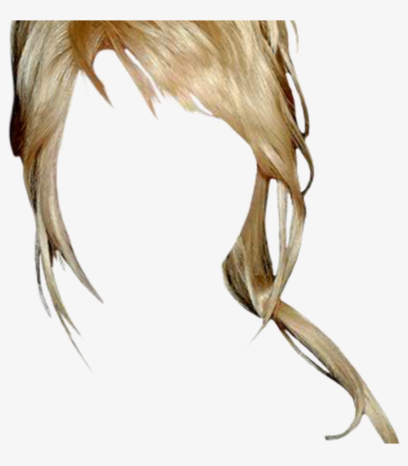 Dolly Parton Long Straight Casual Updo Hairstyle With - Updo, transparent png