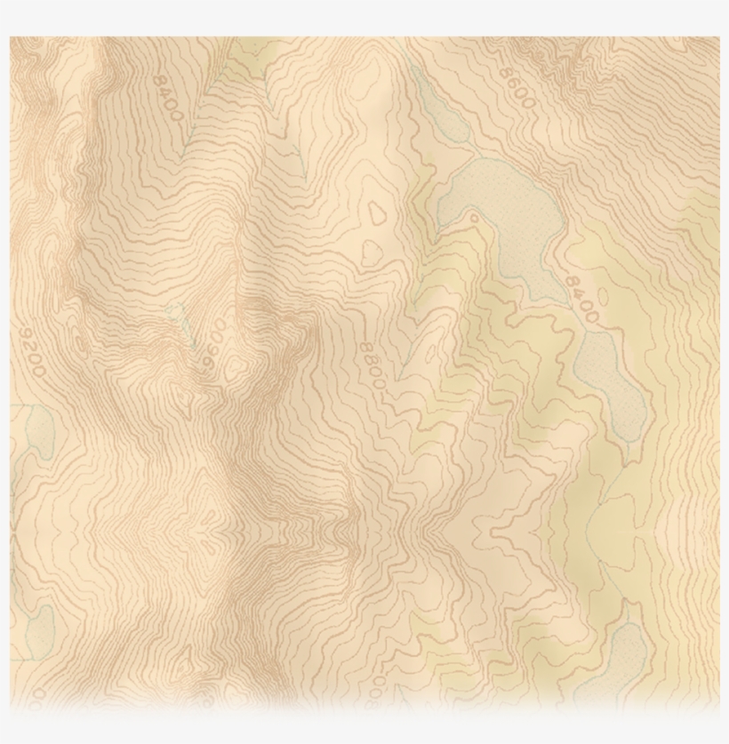 Motif, transparent png