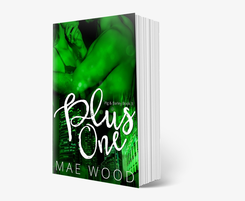 Plus One - Bonus Scene - Plus One [book], transparent png