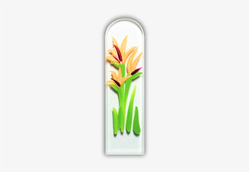 102500 Bird Of Paradise - Bird-of-paradise, transparent png