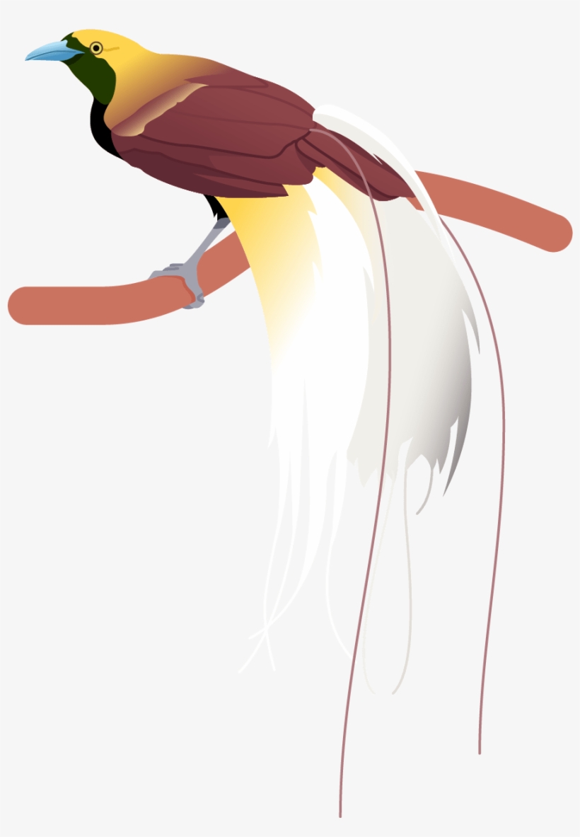Greater Bird Of Paradise Poster - Illustration, transparent png