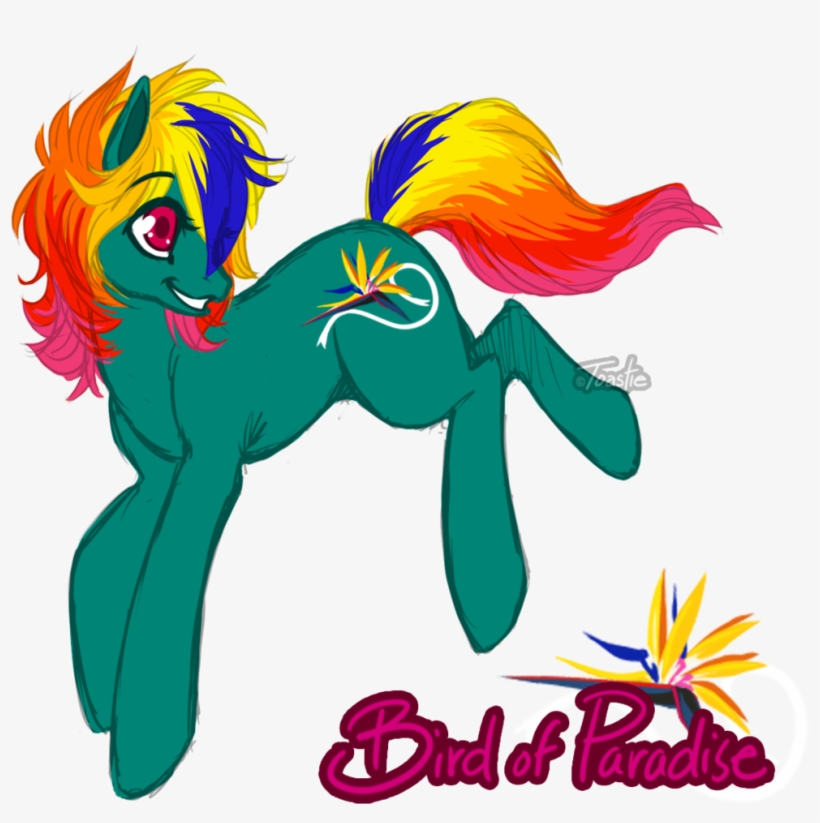 Toastiepony, Bird Of Paradise, Earth Pony, Female,, transparent png