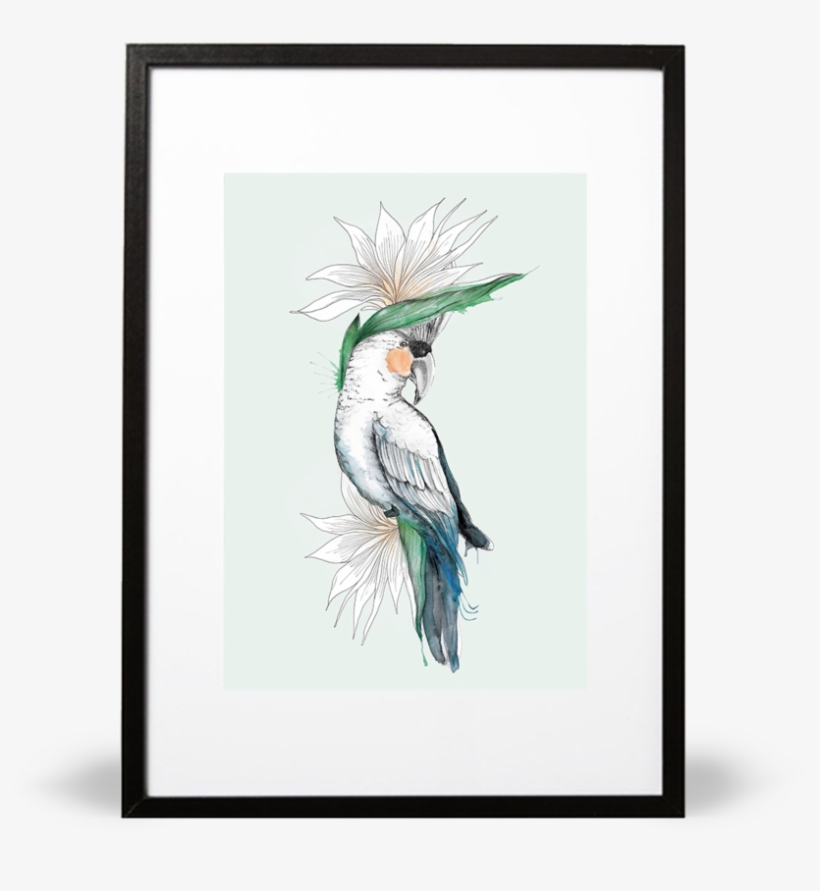 Bird Of Paradise Illustrative Print - Bird-of-paradise, transparent png