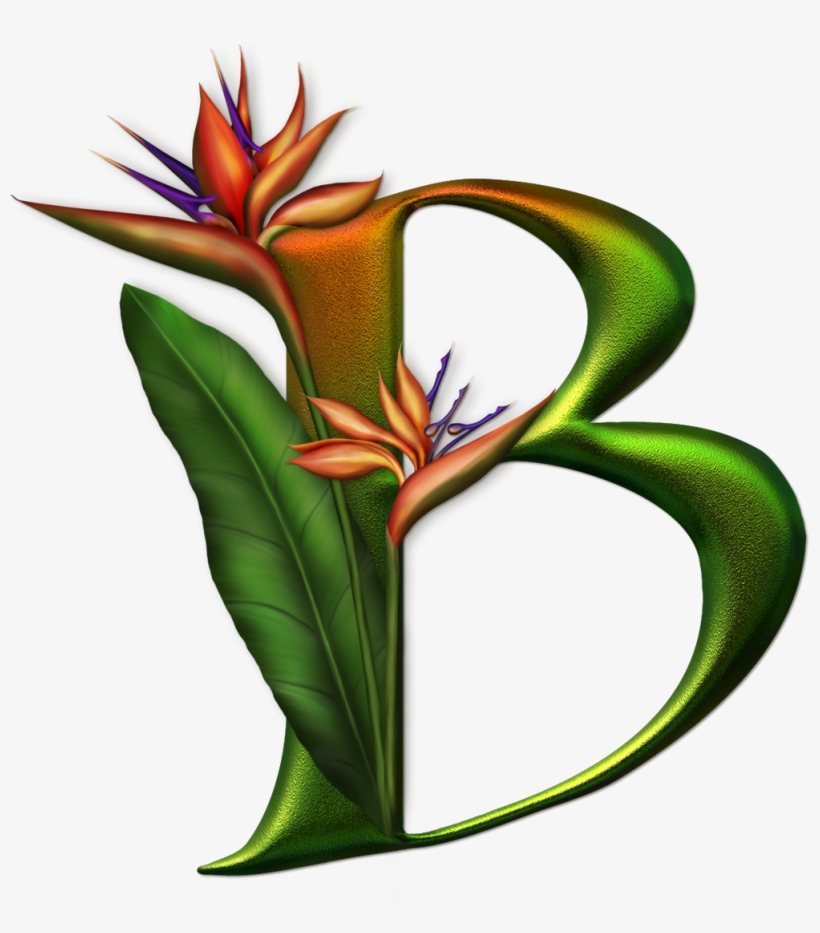 Marcos Gratis Para Fotos - Letter, transparent png