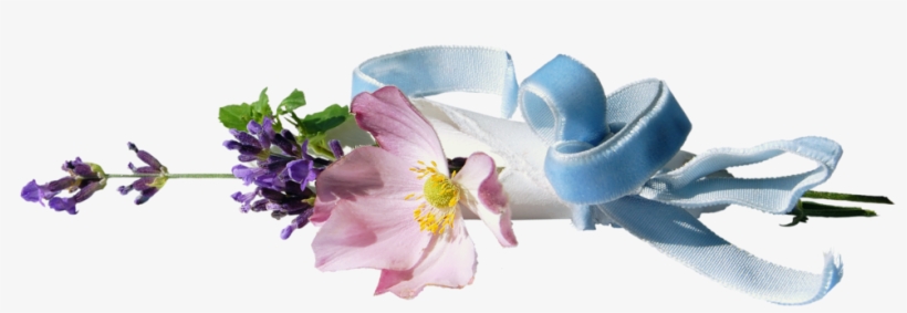 Separadores Png - Flower, transparent png