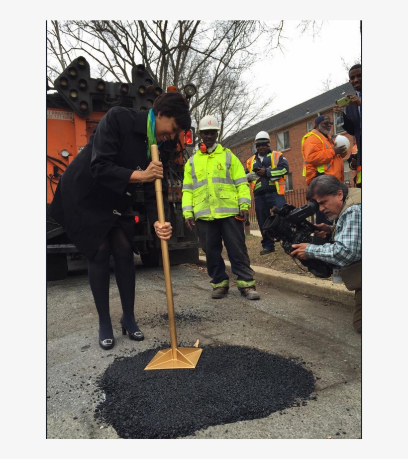 Se Acerca La Temporada De Huecos En La Carretera - Tree, transparent png