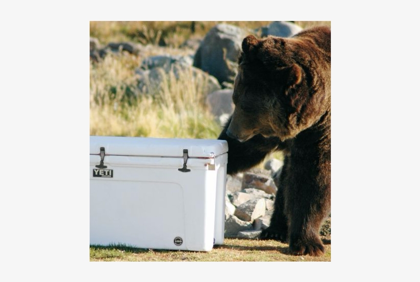 Our - Camping, transparent png