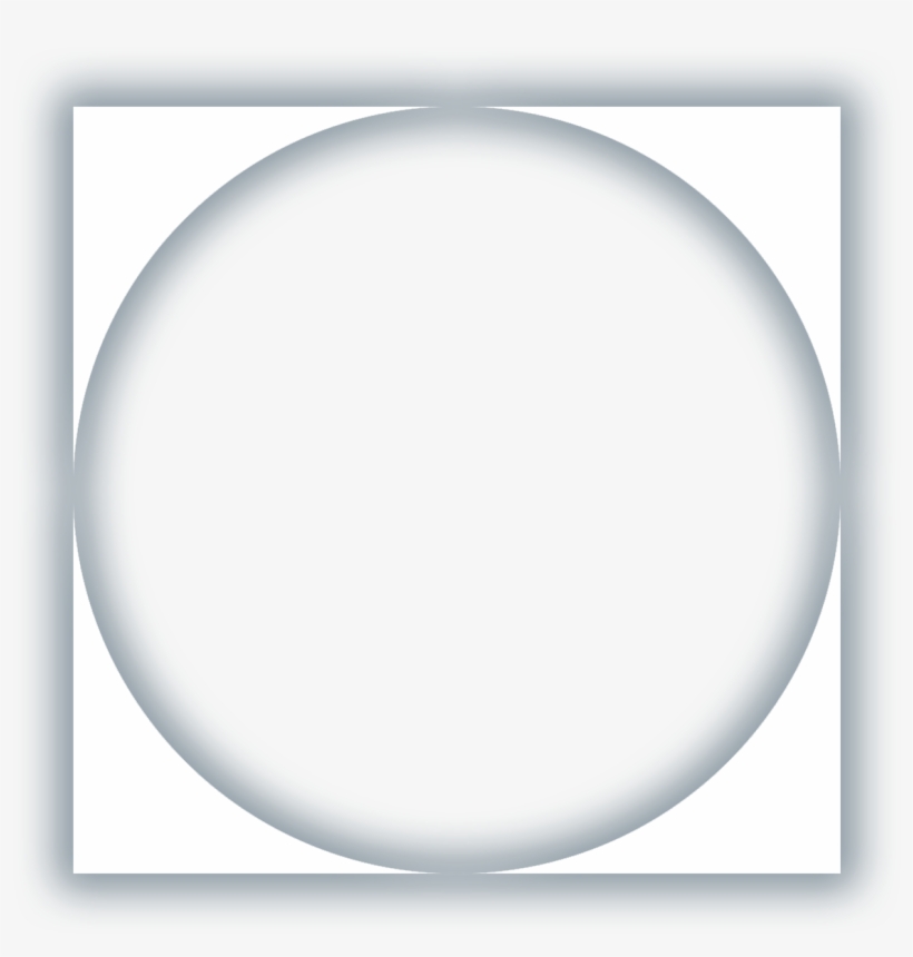 I Give Consent For Cp To Process My Data And I Understand - Vier Pfoten, transparent png