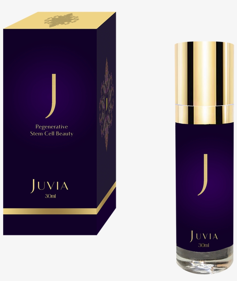 We Are Dedicated To - Perfume, transparent png