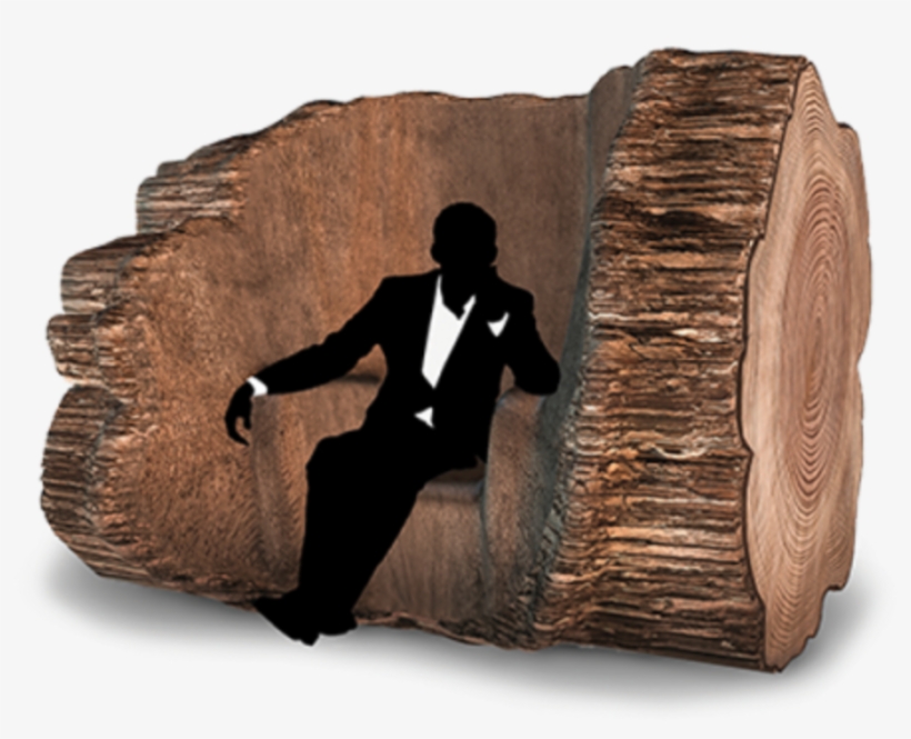 Vpro Medialab Is Wondering - Tree Trunk Chair Maarten Baas, transparent png