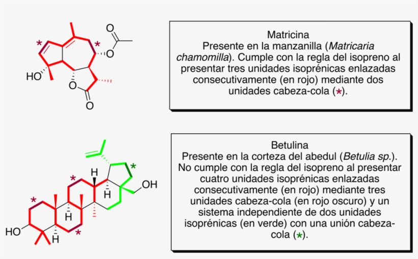 Isopreno - Diagram, transparent png