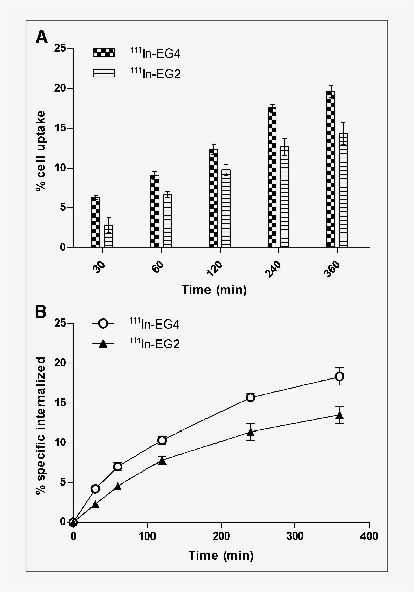 Specific Cell Uptake And Internalization Rate After - Cell, transparent png