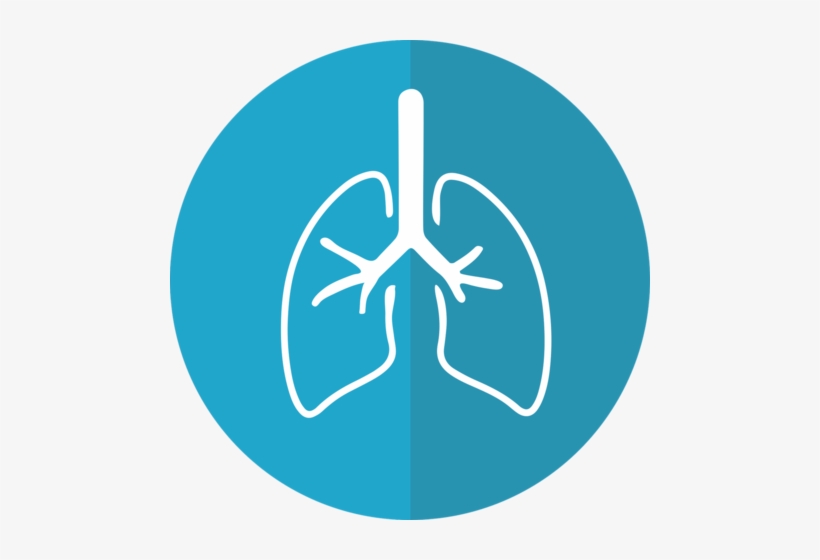 Although Most People Have Experienced Coughing Or Inflamed - Lung Cancer Awareness Month, transparent png