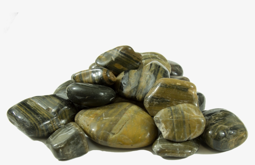 Tiger Stripe - Tortoise, transparent png
