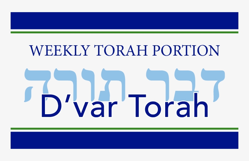 Parshat Ki Teitzei - Wesley Bible Studies - Jeremiah Through Daniel, transparent png