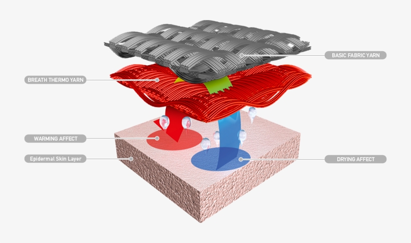 3 Features Of Breath Thermo - Mizuno Breath Thermo Beanies, transparent png