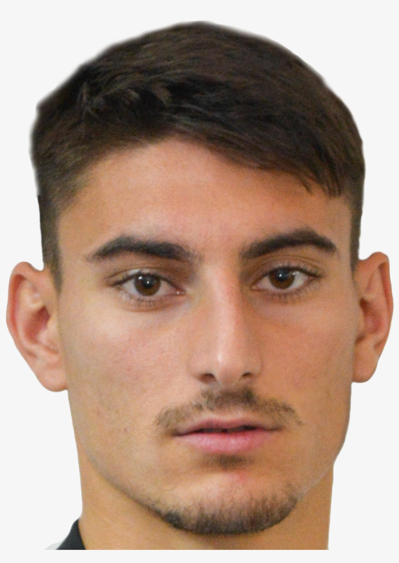 Cristea Lucian Iulian - Gradinaru Razvan, transparent png