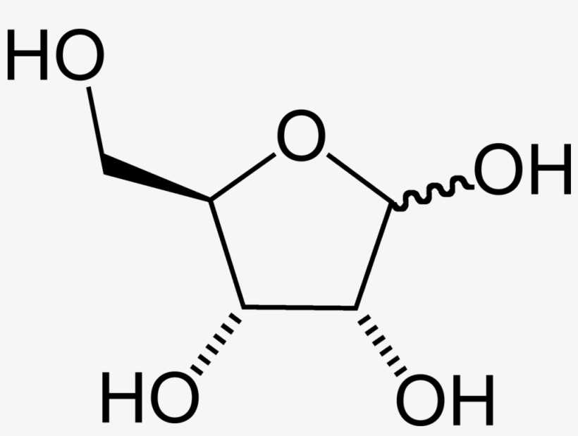 L Galactono 1 4 Lactone, transparent png