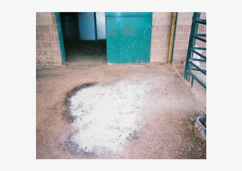 5 / - Floor, transparent png