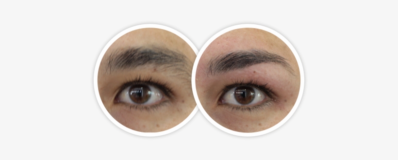 Diseño De Cejas - Eye Shadow, transparent png