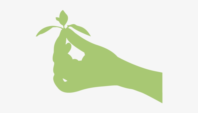 Ayurveda - Illustration, transparent png