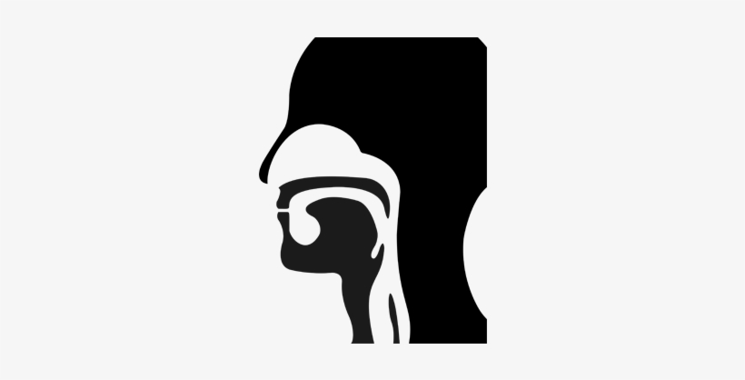 Face Infographics - Ear Nose And Throat Vector, transparent png