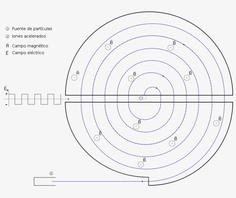 File - Cyclotron-es - Cyclotron Diagram, transparent png